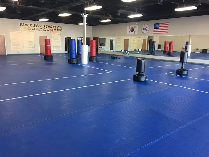 W. Kim Tae Kwon Do Picture 7