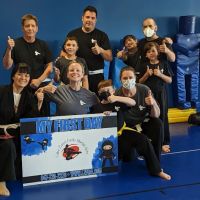 Lake Zurich Family Martial Arts ico