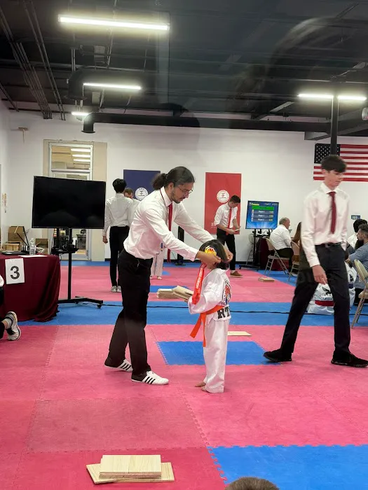 Rocha's Tiger Martial Arts Picture 7