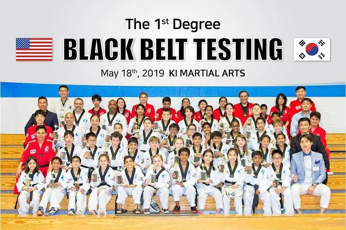 KI Taekwondo Picture 2