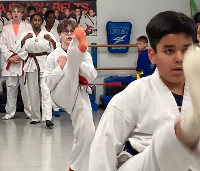 Barrington Martial Arts Picture 8