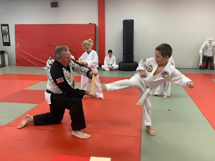 Barrington Tiger Academy Picture 7