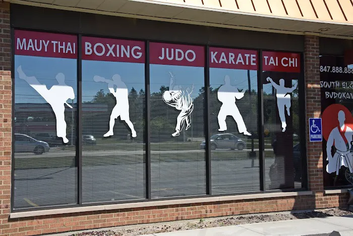 South Elgin Budokan Martial Arts Picture 2