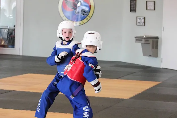 Blackhawk TaeKwonDo Picture 3