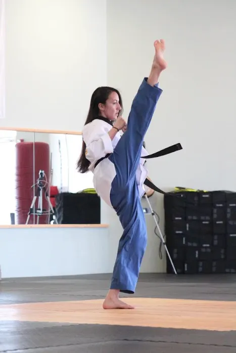 Blackhawk TaeKwonDo Picture 6