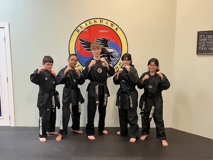 Blackhawk TaeKwonDo Picture 9
