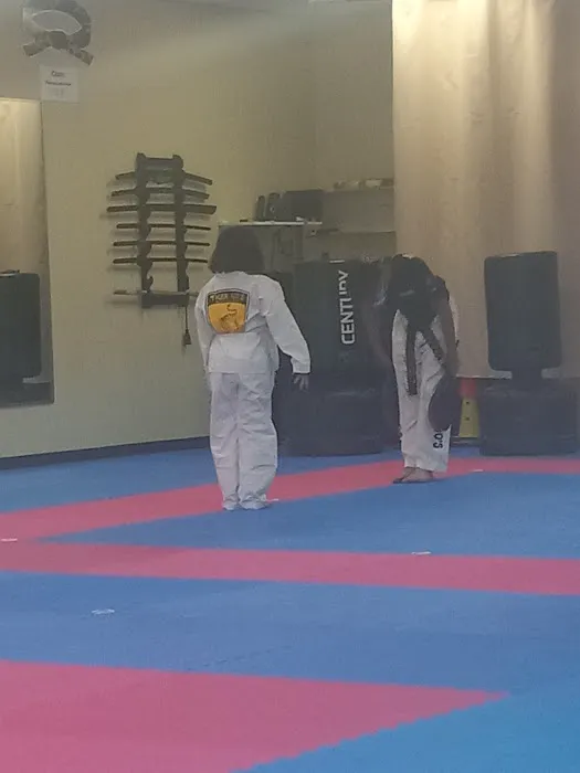 TK Martial Arts Picture 8