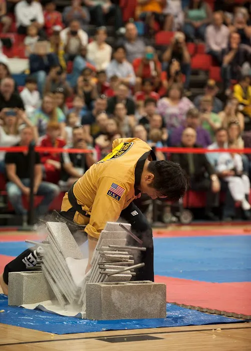 Tiger Koo's Martial Arts Academy Picture 2