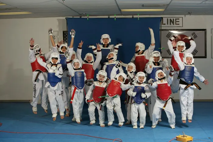 Tiger Koo's Martial Arts Academy Picture 1