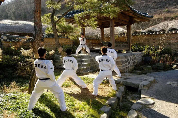 Tiger Koo's Martial Arts Academy Picture 4