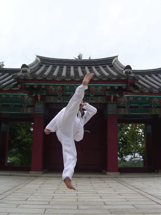 Tiger Koo's Martial Arts Academy Picture 6
