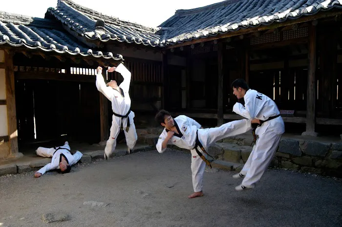 Tiger Koo's Martial Arts Academy Picture 9