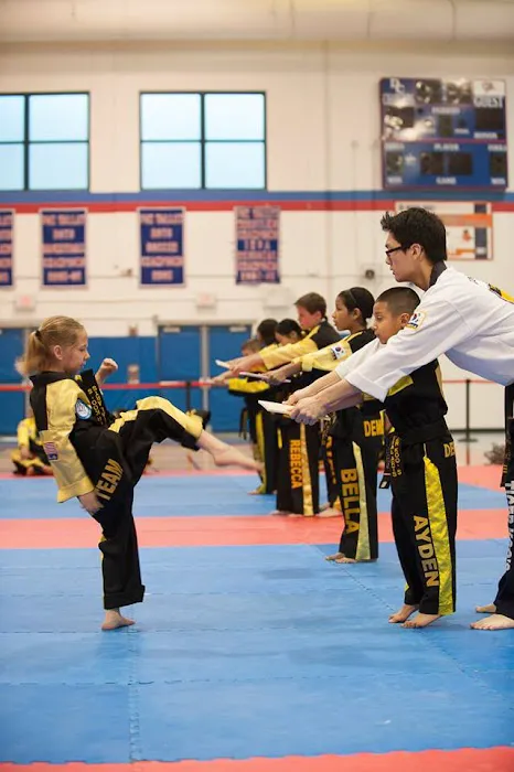 Tiger Koo's Martial Arts Academy Picture 8
