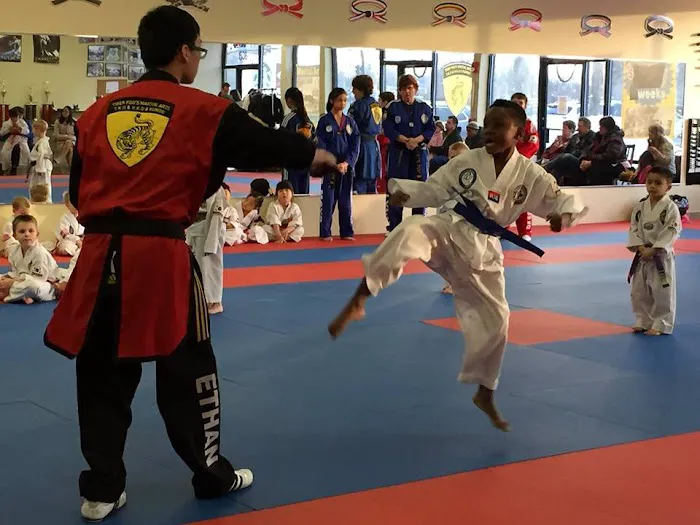 Tiger Koo's Martial Arts Academy Picture 5