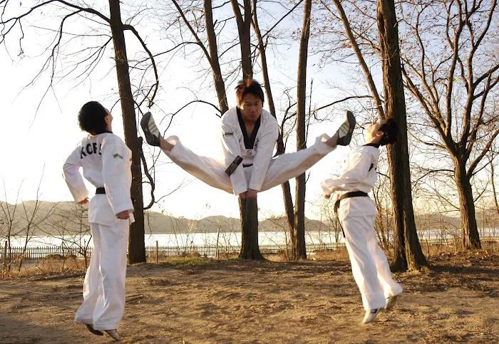 Tiger Koo's Martial Arts Academy Picture 10