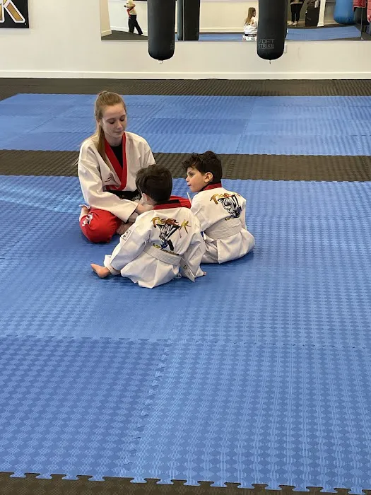 Tiger K Taekwondo Picture 2
