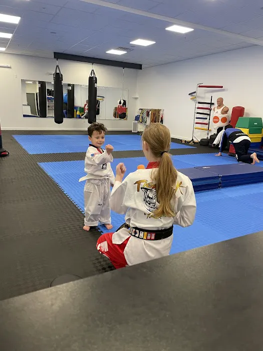 Tiger K Taekwondo Picture 3