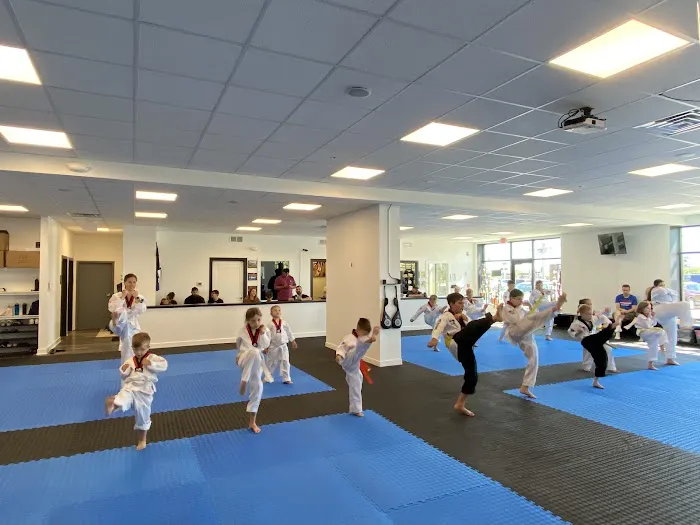 Tiger K Taekwondo Picture 6