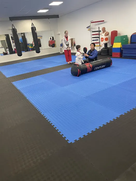 Tiger K Taekwondo Picture 4