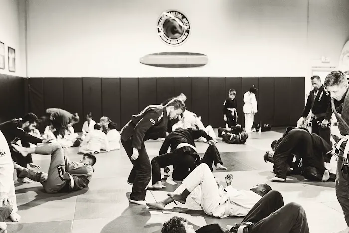 Ohana Martial Arts Picture 6