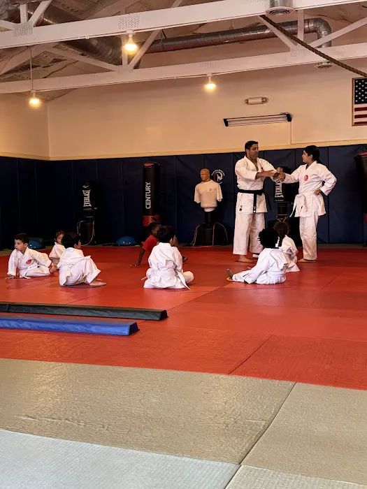 T Elite Martial Arts and after school center Picture 5