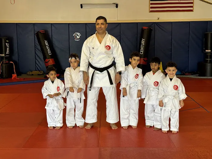 T Elite Martial Arts and after school center Picture 4