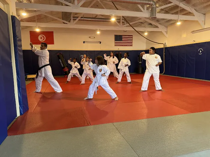 T Elite Martial Arts and after school center Picture 1