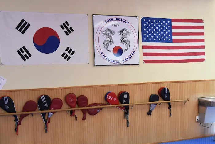 Yong Taekwondo Martial Arts Picture 2