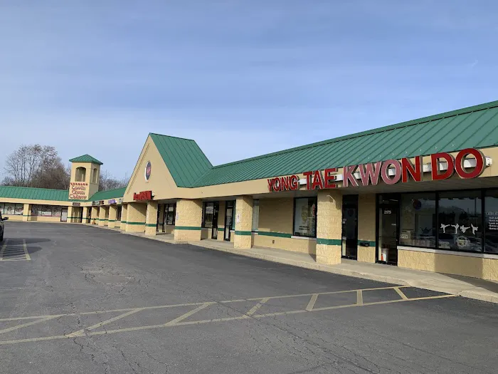 Yong Taekwondo Martial Arts Picture 4