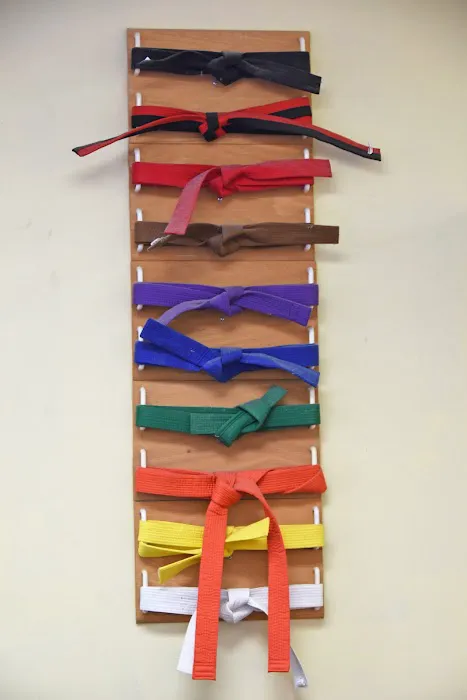 Yong Taekwondo Martial Arts Picture 8