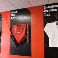 Red Dragon Martial Arts of Waukegan ico