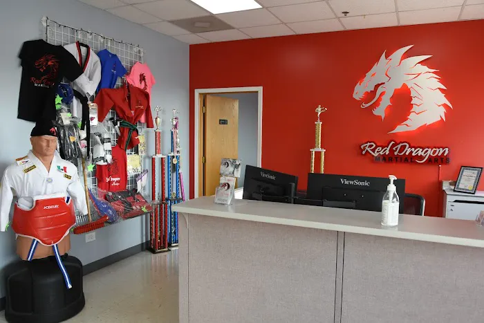 Red Dragon Martial Arts of Waukegan Picture 5