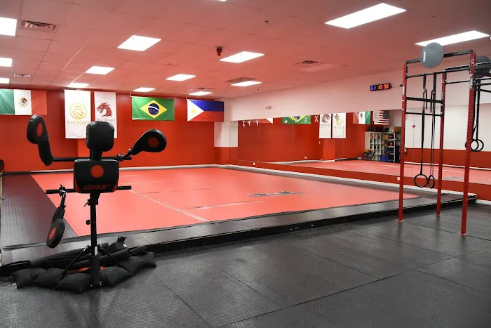 Red Dragon Martial Arts of Waukegan Picture 2