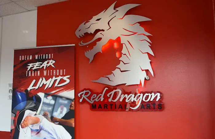 Red Dragon Martial Arts of Waukegan Picture 4