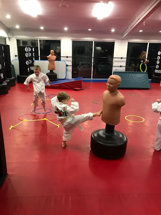 USA Martial Arts Picture 1
