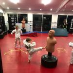 USA Martial Arts