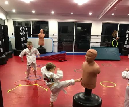 USA Martial Arts