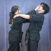 Eagles Martial Arts System ico