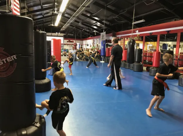 Gangi Martial Arts & Fitness Picture 6
