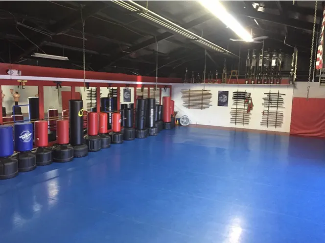 Gangi Martial Arts & Fitness Picture 3