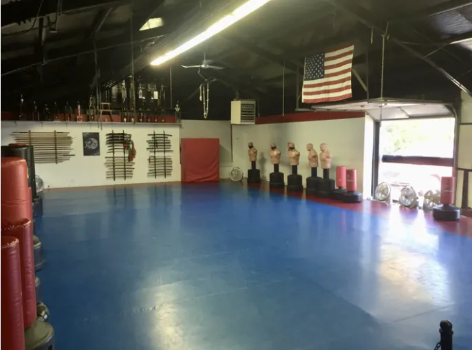 Gangi Martial Arts & Fitness Picture 2