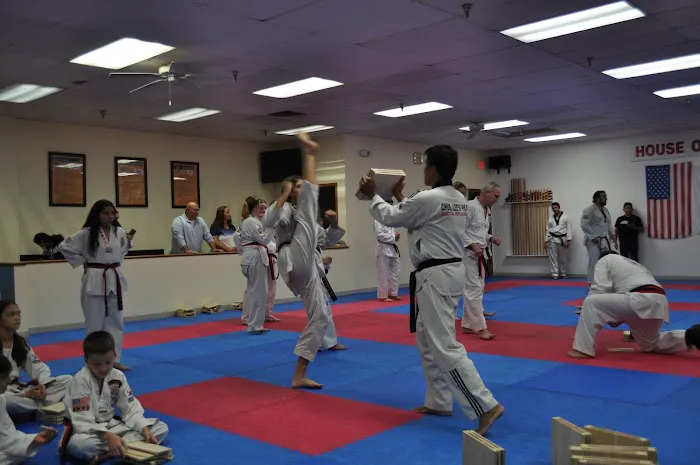 Lee’s Martial Art Academy Picture 3