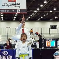Lee’s Martial Art Academy ico