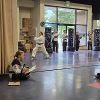 Kyuki-Do Martial Arts of Lake in the Hills ico