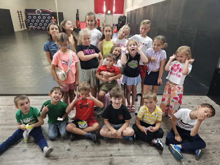 Illinois Martial Arts Academy Picture 1