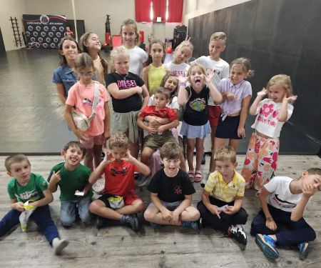 Illinois Martial Arts Academy