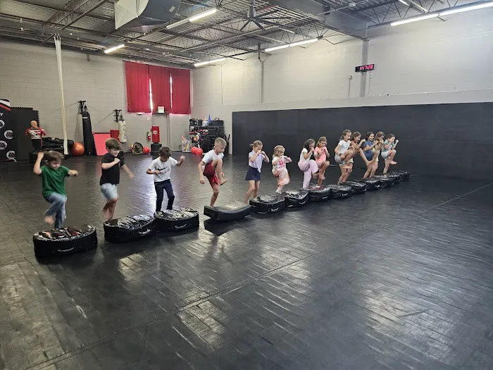 Illinois Martial Arts Academy Picture 7