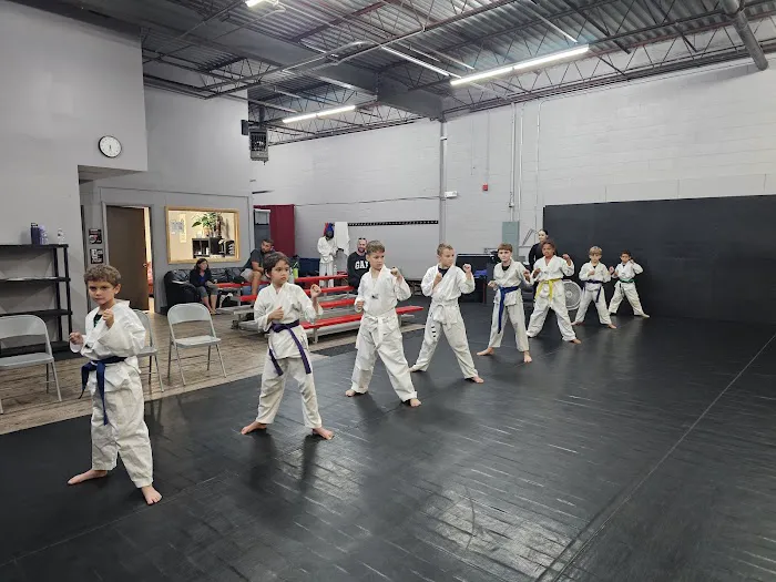Illinois Martial Arts Academy Picture 3