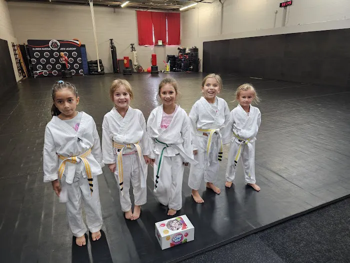 Illinois Martial Arts Academy Picture 9