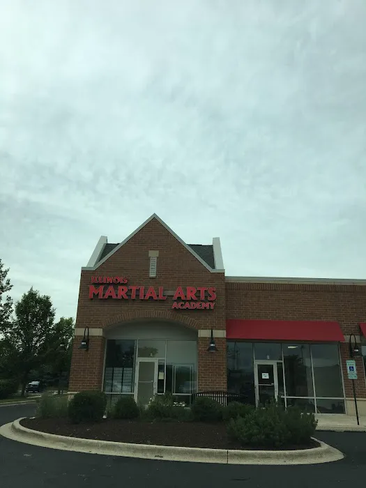 Illinois Martial Arts Academy Picture 8